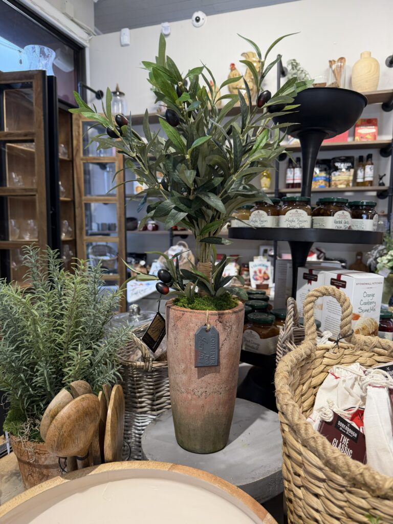 Dwarf Olive Tree Floral