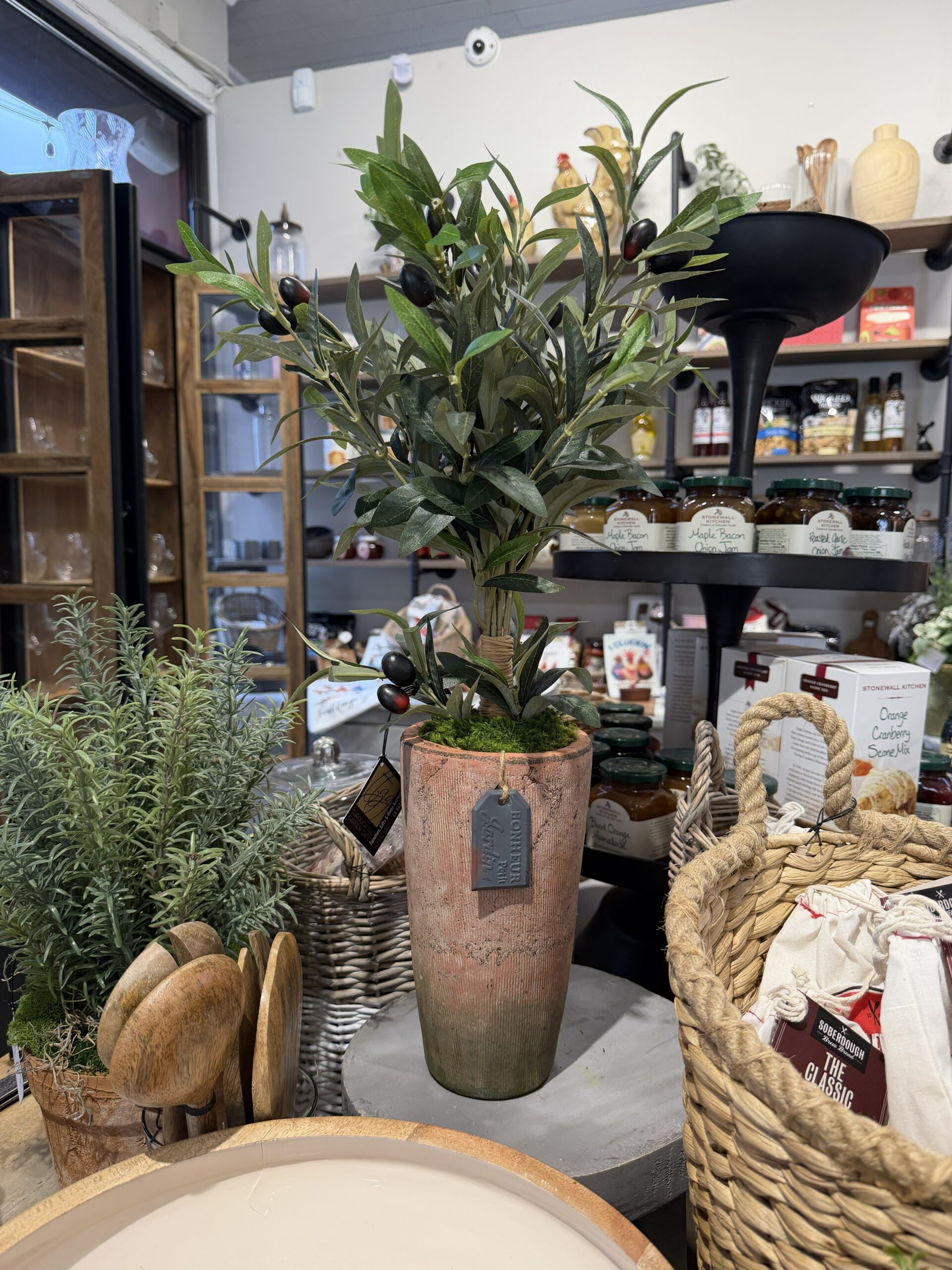 Dwarf Olive Tree Floral