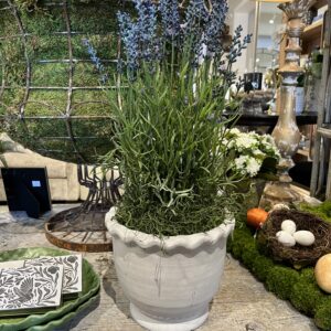 Garden Lavender Floral