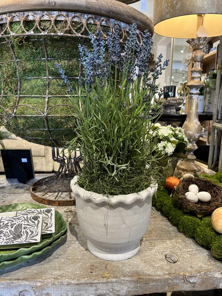 Garden Lavender Floral